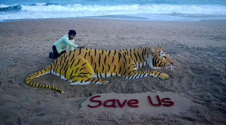 International Tiger Day: How Can We Keep The Tiger Burning Bright?